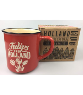 Mok Tulpen Holland Rood Mok Tulpen Holland Rood