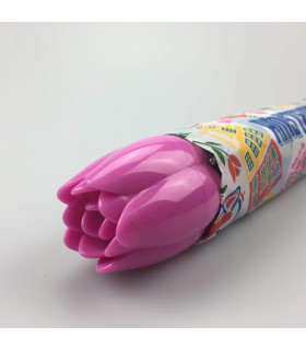 Paraplu tulp Amsterdam compilatie Paraplu tulp Amsterdam compilatie