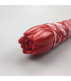 paraplu fietsen Amsterdam paraplu fietsen Amsterdam