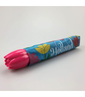 Paraplu tulp design met molen Holland Paraplu tulp design met molen Holland