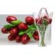 Boeket van 9 houten tulpen Red Aubergine
