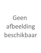 Borden Holland